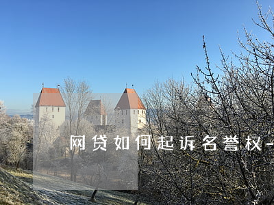 网贷如何起诉名誉权-网贷怎么起诉个人
