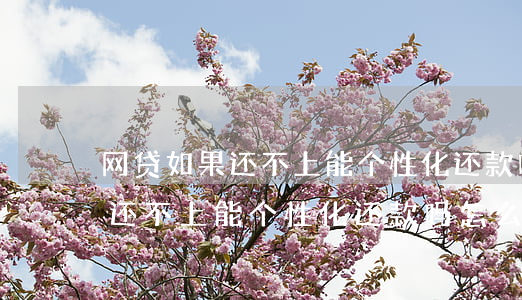 网贷如果还不上能个性化还款吗-网贷如果还不上能个性化还款吗怎么办