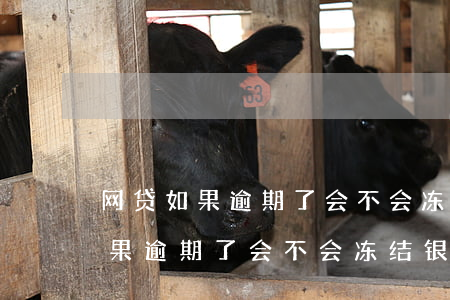 网贷如果逾期了会不会冻结银行卡-网贷如果逾期了会不会冻结银行卡呢