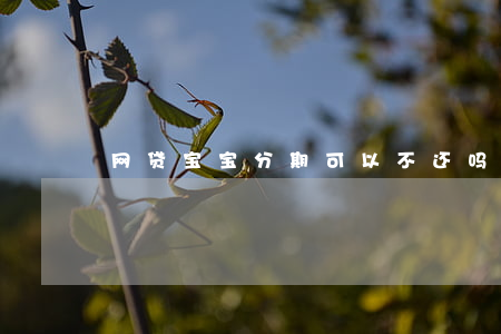 网贷宝宝分期可以不还吗(宝宝分期好下款吗)