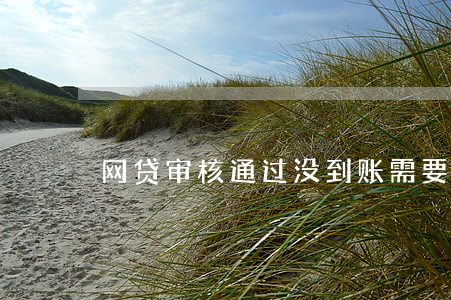 网贷审核通过没到账需要还款吗-