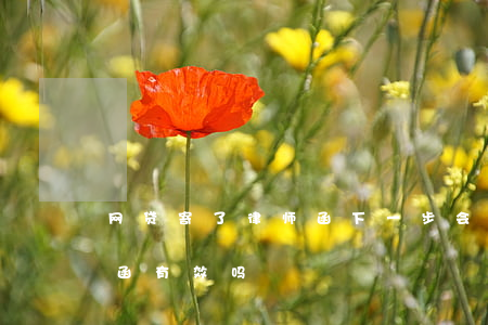 网贷寄了律师函下一步会怎样(网贷发来律师函有效吗)