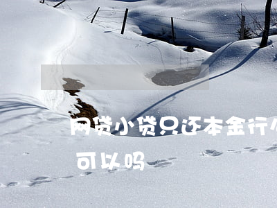 网贷小贷只还本金行么-网贷欠款只还本金可以吗