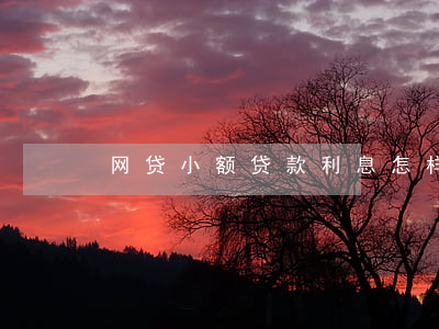 网贷小额贷款利息怎样算