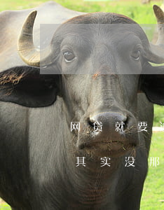 网贷就要逾期了心好慌(网贷逾期怎么办?别慌,其实没那么可怕)