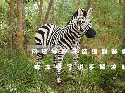 网贷帐户冻结没到账需要还款吗-网贷资金被冻结了,说不解决起诉
