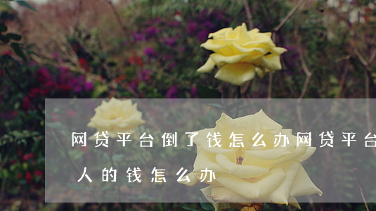 网贷平台倒了钱怎么办(网贷平台倒闭了,出借人的钱怎么办)