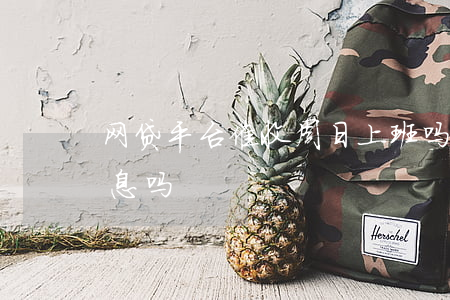 网贷平台催收周日上班吗(网贷催收周六日休息吗)