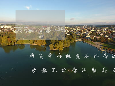 网贷平台故意不让你还款怎么办-网贷平台故意不让你还款怎么办呢