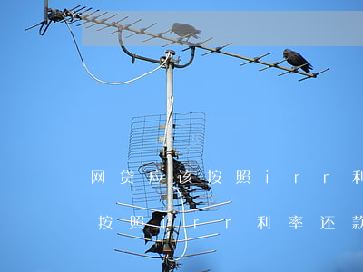 网贷应该按照irr利率还款么-网贷应该按照irr利率还款么吗