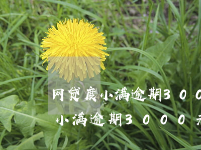 网贷度小满逾期3000元怎么办-网贷度小满逾期3000元怎么办理