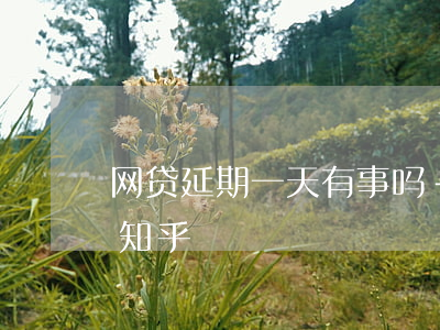 网贷延期一天有事吗-网贷延期一天有事吗知乎