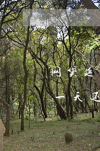 网贷延期一天还款会影响征信吗-网贷延期一天还款会影响征信吗知乎