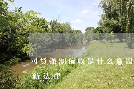 网贷强制催收是什么意思(关于网贷的催收最新法律)