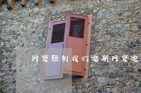 网贷强制我们逾期 网贷逾期被强制执行