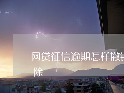 网贷征信逾期怎样撤销(网贷逾期征信多久消除)