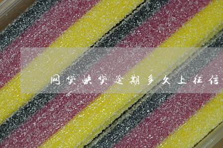 网贷快贷逾期多久上征信(网贷快贷上征信吗)
