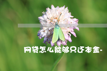 网贷怎么能够只还本金-网贷只还本金方法