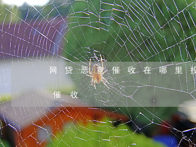 网贷恶意催收在哪里投诉(哪里举报网贷恶意催收)