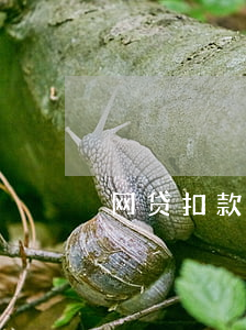网贷扣款成功但是显示还款失败-