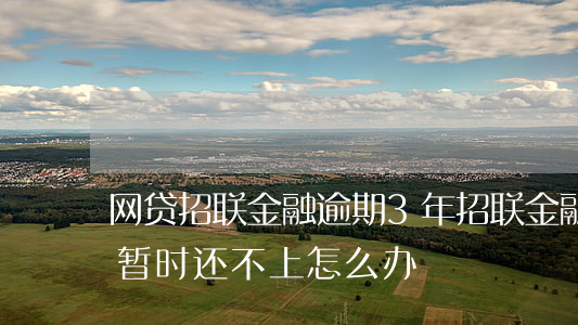网贷招联金融逾期3年(招联金融网贷逾期了暂时还不上怎么办)