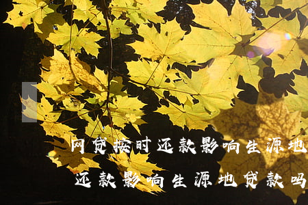 网贷按时还款影响生源地贷款吗-网贷按时还款影响生源地贷款吗知乎