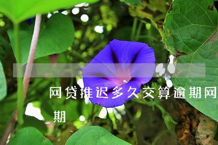 网贷推迟多久交算逾期(网贷推迟多久交算逾期)