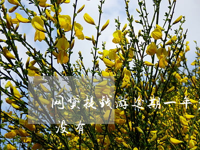 网贷提钱游逾期一年多(提钱游逾期一年的有没有)