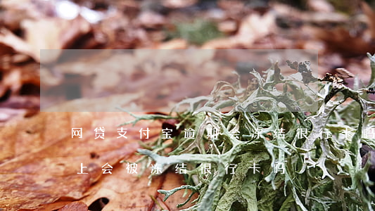 网贷支付宝逾期会冻结银行卡吗-网贷还不上会被冻结银行卡吗