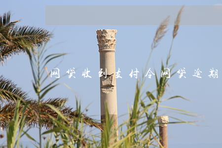 网贷收到支付令（网贷逾期会开支付令吗）
