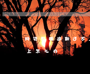 网贷整顿逾期还不上了 网贷逾期了一直还不上怎么办?