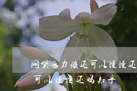网贷无力偿还可以慢慢还吗-网贷无力偿还可以慢慢还吗知乎