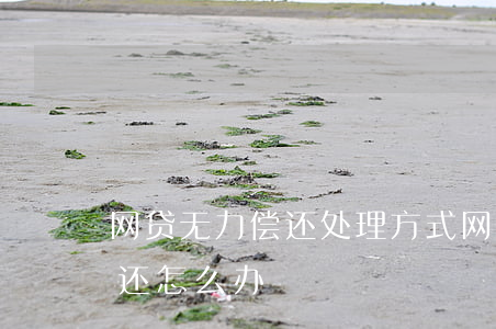 网贷无力偿还处理方式(网贷银行欠款无力偿还怎么办)