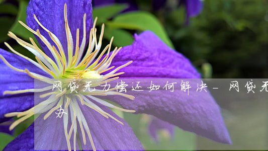 网贷无力偿还如何解决-网贷无力偿还怎么办?