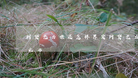 网贷无力偿还怎样界定 网贷无力偿还债务怎么办
