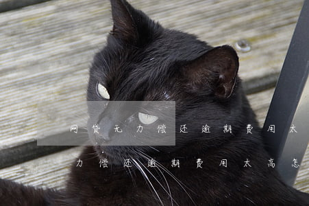 网贷无力偿还逾期费用太高怎么办-网贷无力偿还逾期费用太高怎么办呢