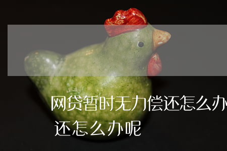 网贷暂时无力偿还怎么办-网贷暂时无力偿还怎么办呢