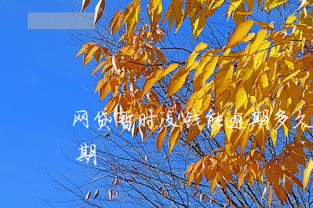 网贷暂时没钱能逾期多久(网贷多久没还算逾期)