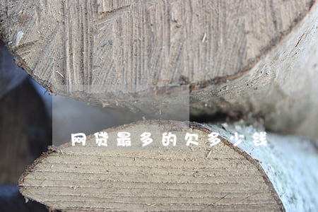 网贷最多的欠多少钱