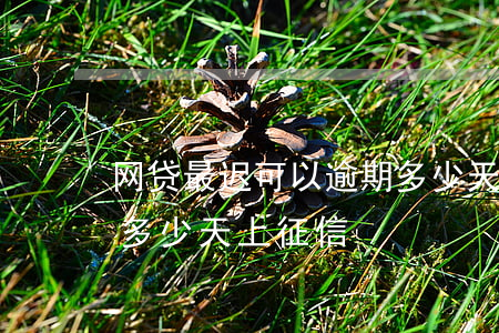 网贷最迟可以逾期多少天(网贷最迟可以逾期多少天上征信)