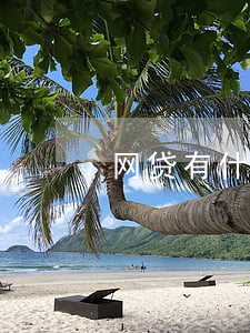 网贷有什么风险-网贷有什么风险吗