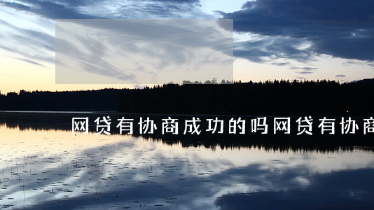 网贷有协商成功的吗 网贷有协商成功的吗