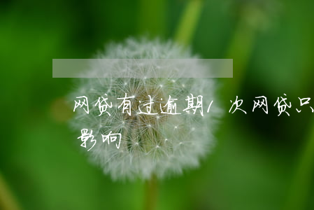 网贷有过逾期1次(网贷只逾期了一次有什么影响)