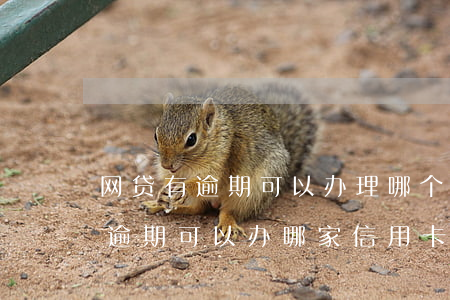 网贷有逾期可以办理哪个信用卡-有网贷有逾期可以办哪家信用卡
