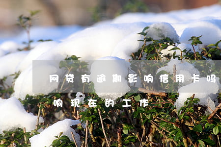 网贷有逾期影响信用卡吗（网贷信用卡逾期影响现在的工作）