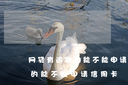 网贷有逾期的能不能申请信用卡(网贷有逾期的能不能申请信用卡)