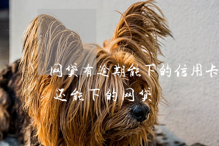 网贷有逾期能下的信用卡(有当前信用卡逾期还能下的网贷)