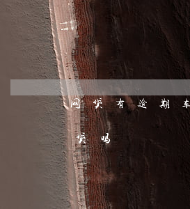 网贷有逾期车贷能过么(有网贷但没逾期能车贷吗)