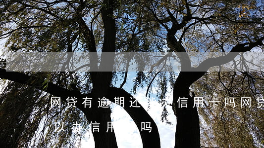 网贷有逾期还能办信用卡吗(网贷有过逾期可以办信用卡吗)
