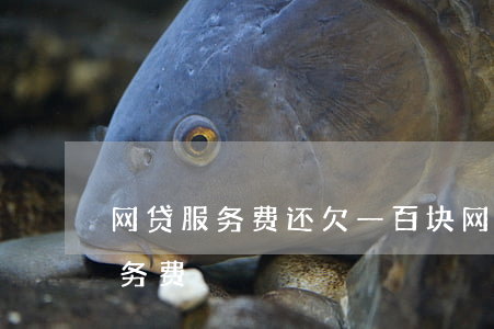 网贷服务费还欠一百块(网贷收百分之20服务费)
